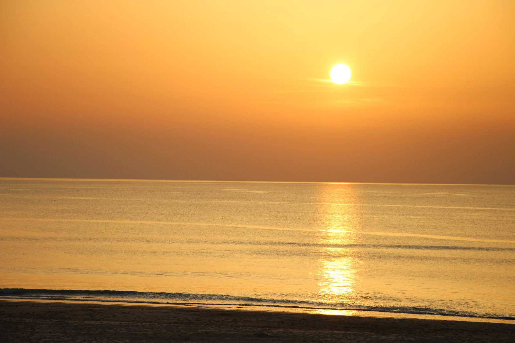 bord de mer, côte, côte, côte-mer, banc de sable, banc de sable